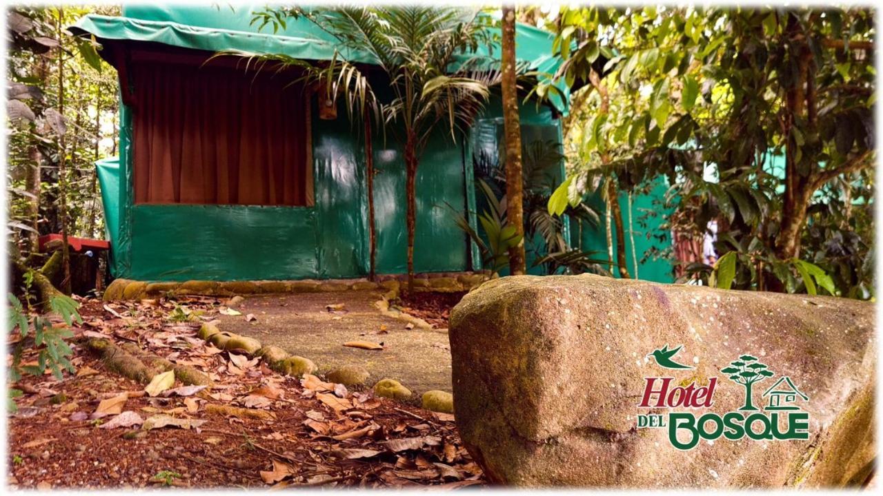 Hotel Del Bosque Río Cuarto Buitenkant foto
